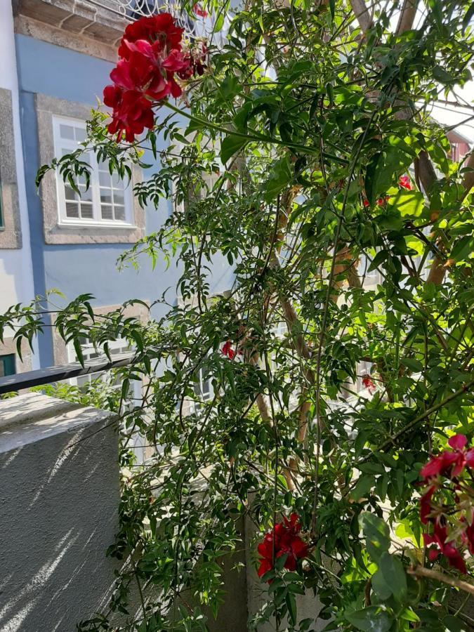Amazing City Center Apartment Porto Villa Loios Zewnętrze zdjęcie